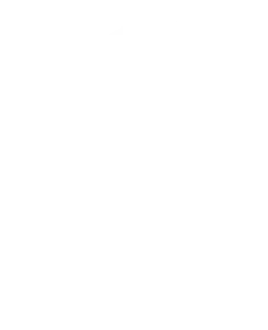 White house logo with transparent background